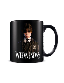 Taza Wednesday Friendship