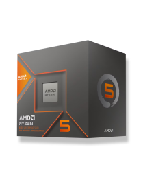 AMD Ryzen 5 8600G