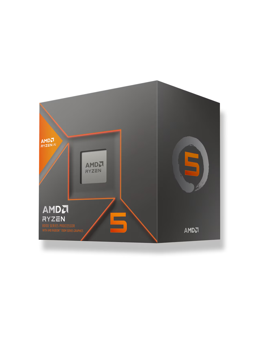 AMD Ryzen 5 8600G