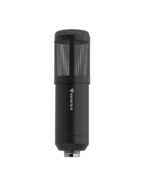 Genesis Radium 300 XLR